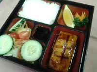 Salmon Teriyaki (One Size)